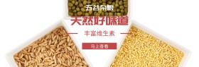 果蔬类官网banner