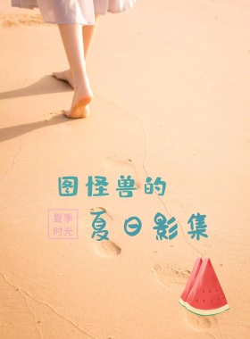 海滩夏日简约摄影集封面印刷海报