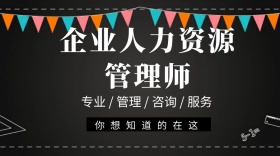企业人力资源管理师咨询服务