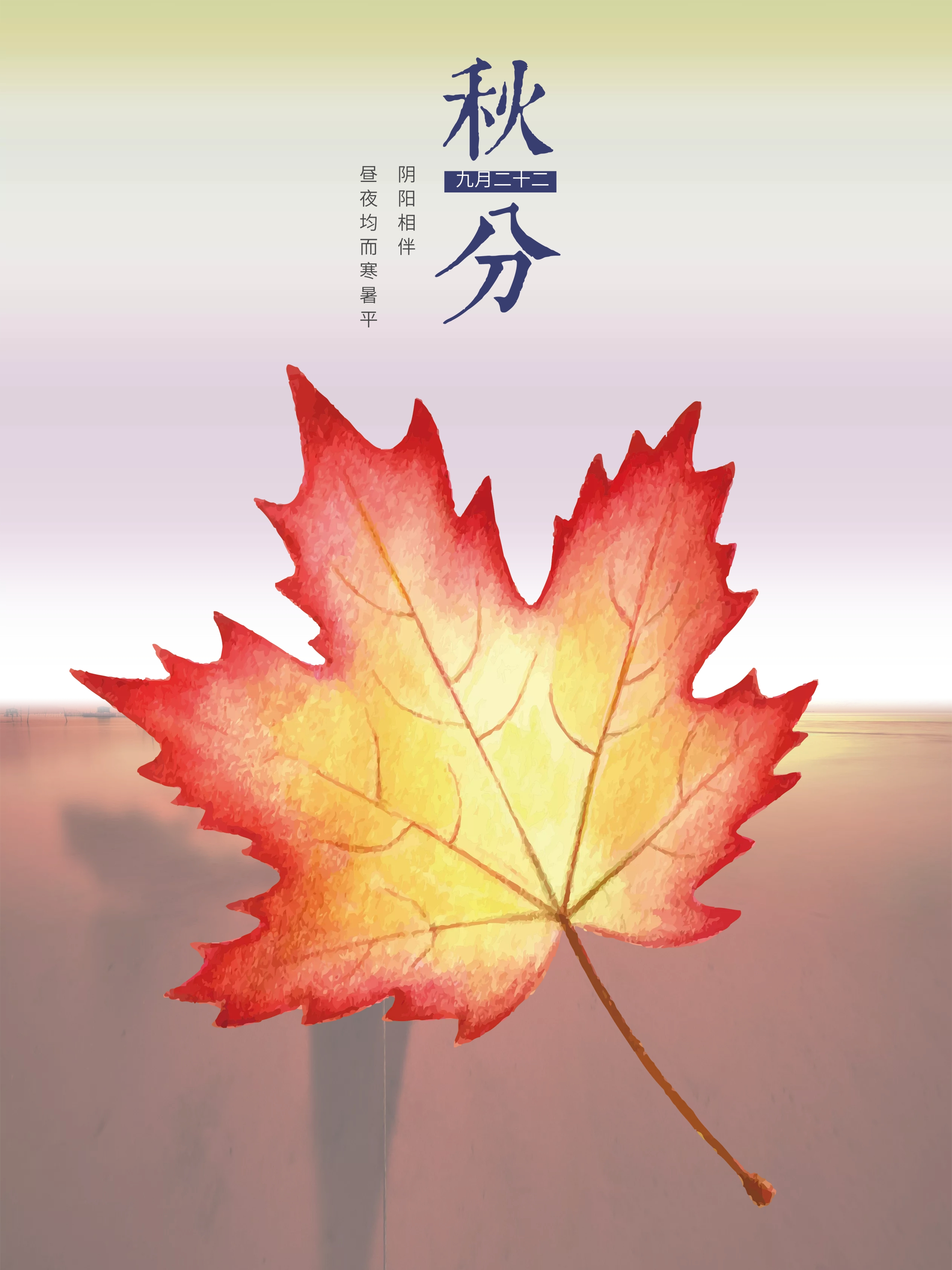枫叶