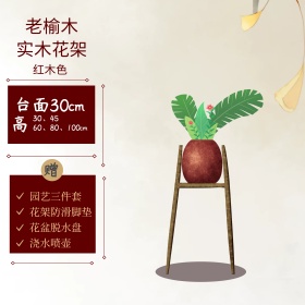 中国风水墨背景实木花架直通车图