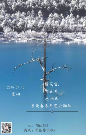 做人要像梅花一样坚韧