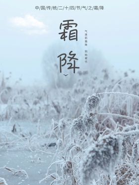 原创插画二十四节气之霜降节日海报设计