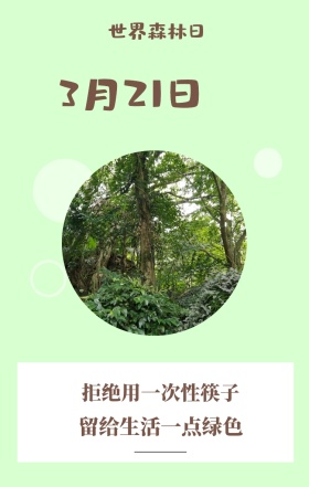 世界森林日 3月21日 留给生活一点绿色 拒绝用一次性筷子 世界森林日简约公益手机海报
