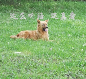 蜜蜂卡通图案朋友圈封面