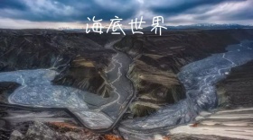 海底世界手绘文艺插画公众号封面