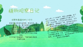 植物观察日记