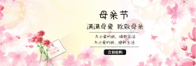 母亲节促销淘宝海报banner