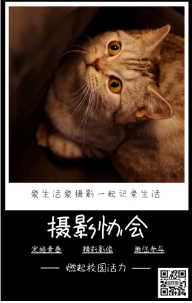 摄影协会 定格青春 精彩影像 邀您参与 燃起校园活力 爱生活爱摄影一起记录生活 摄影社团纳新简约手机海报
