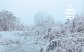 晶莹雪花雪景图片唯美红包配图海报