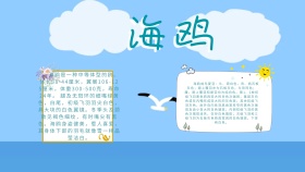 卡通创意扁平可爱海鸥手抄报海报