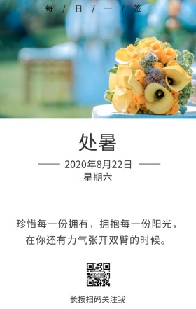 处暑荷花简约日签图