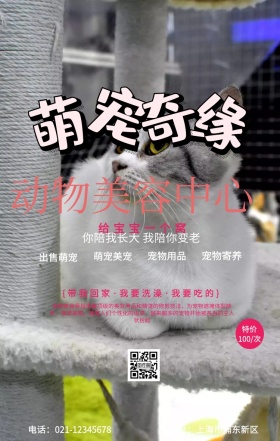 萌宠奇缘手机海报