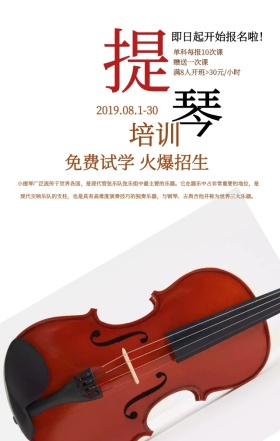 简约炫彩小提琴音乐艺术培训招生手机海报