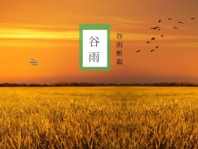 谷雨水滴绿叶公众号封面图