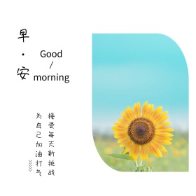 早安向日葵简约白色方形配图