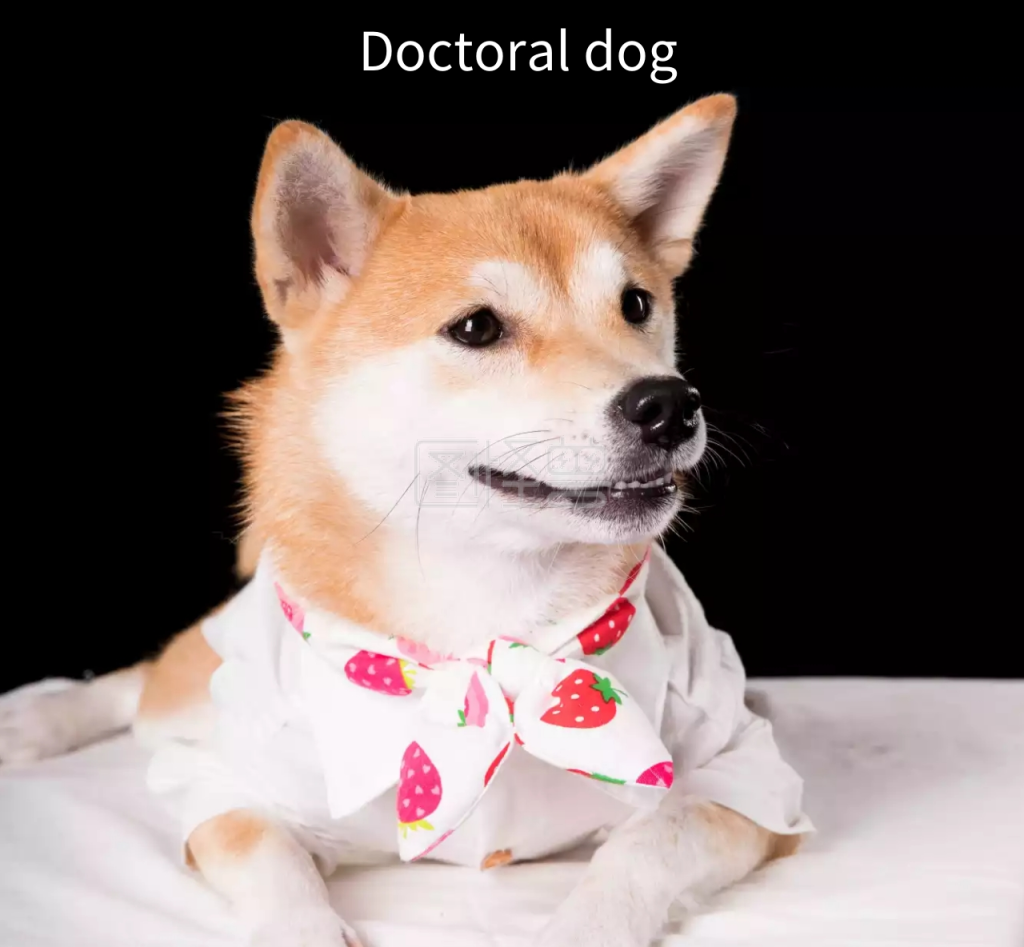 儒雅狗狗朋友圈封面