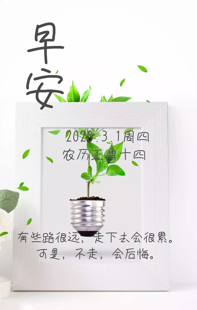 绿色树叶三角意境情话早安日签