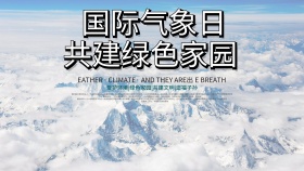 清新自然国际气象日公益宣传海报展板