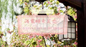 海棠花花草树木浪漫粉色公众号封面模版