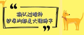 2018铲屎官主题公众号封面