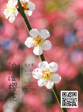 浪漫樱花日本名古屋旅游公司活动宣传海报