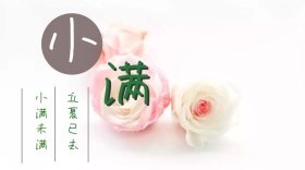 中国二十四节气立夏去小满至公众号封面