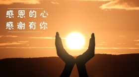 感恩节感恩创意简约温情公众号封面模板