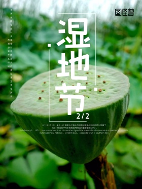 绿色渐变湿地节保护环境海报