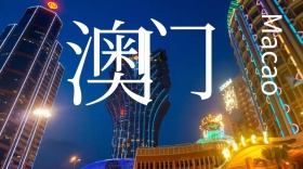 澳门公众号封面