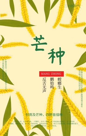 线描简约白色芒种节气宣传手机海报