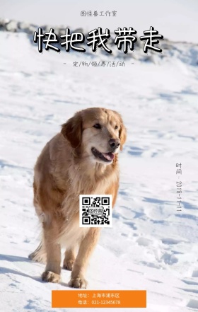 快把我带走宠物领养活动手机营销海报