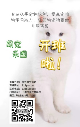 宠物培训班开班广告宣传