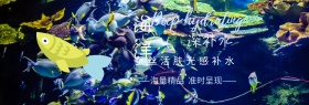 护肤品海洋补水梦幻简约banner