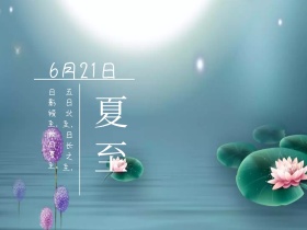 6月21日夏至节气荷花摄影公众号配图