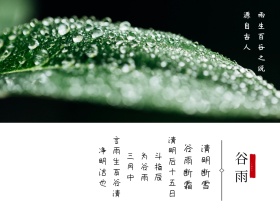 二十四节气谷雨古风简约白色横版配图