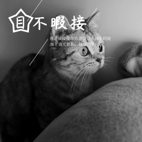 目不暇接香港文艺简约公众号正方形配图