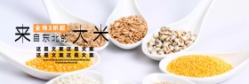 大米主食食品中国风海报banner