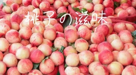 水果桃子促销红包公众号封面