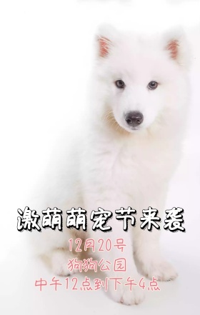 可爱宠物萌宠运动会手机海报