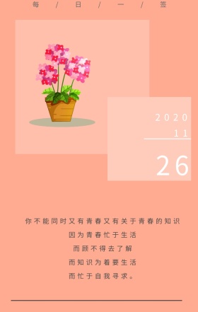 艺术创意个性日签