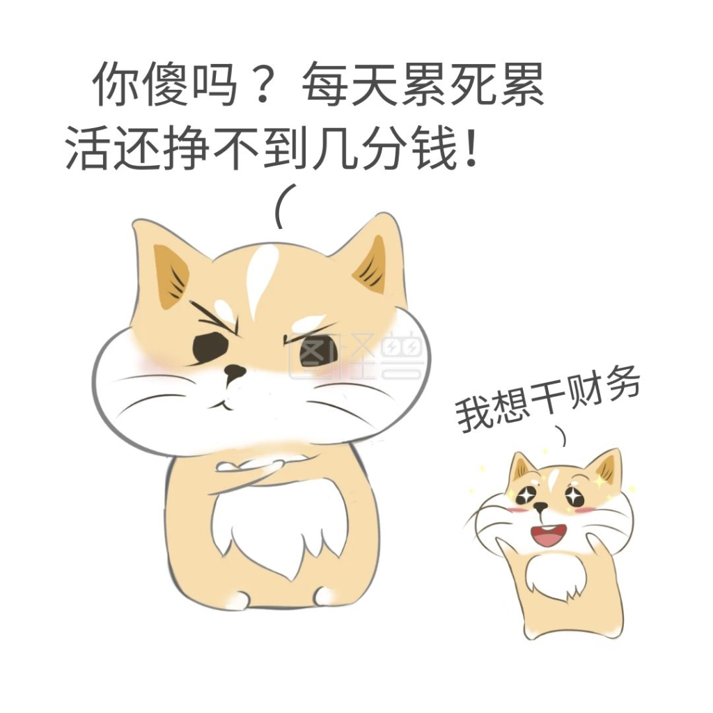 傻孩子想当财务财务表情包