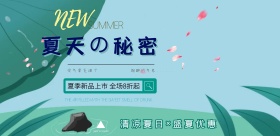 夏季上新文艺文艺小清新简约海报模板