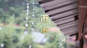 雨水红包公众号封面