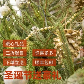 圣诞节店铺活动海报banner