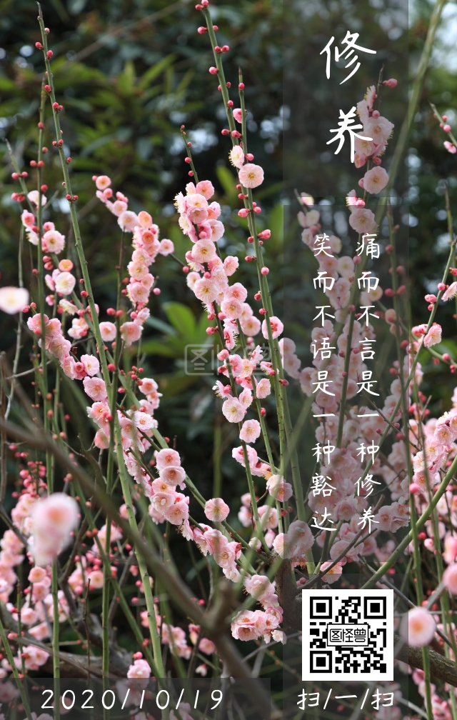 修养修身养性十月古风花瓣日签