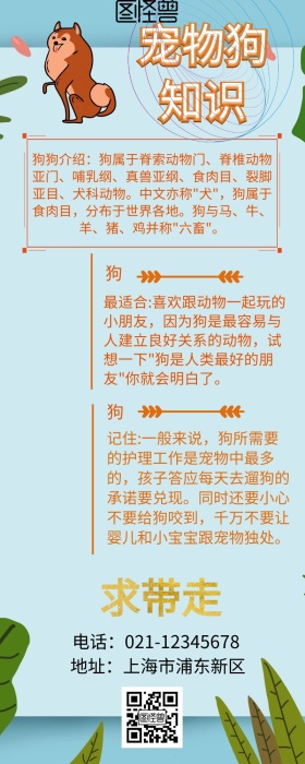 宠物长图