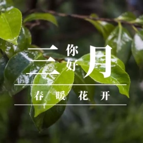 三月 你好 春暖花开 三月你好公众号封面小图