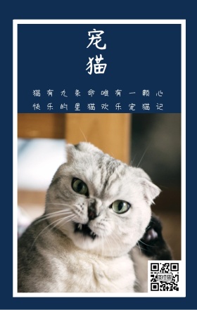 宠猫 猫有九条命唯有一颗心 快乐的星猫欢乐宠猫记 卡通宠物猫之日可爱手机海报