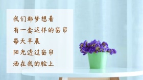 窗帘红包公众号封面